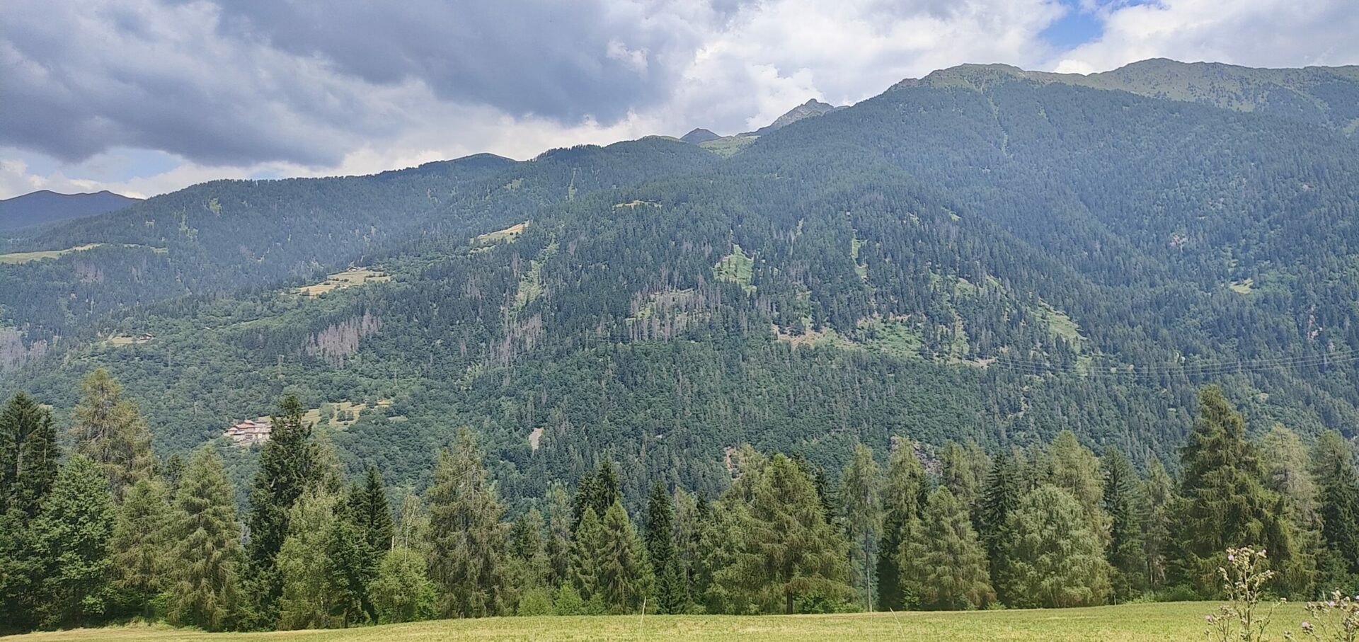 1000065436 DI FRONTE